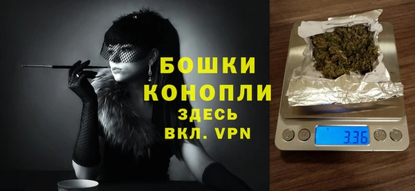 индика Вязники