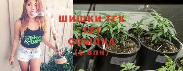 гашик Горнозаводск