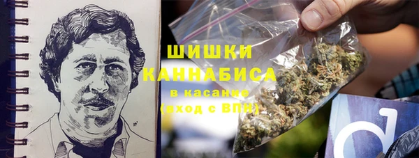 гашик Горнозаводск